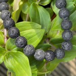 Bransoletka  / lawa wulkaniczna / czarny sznurek /regulowana / Nepal / handmade 